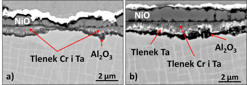 fig2.jpg